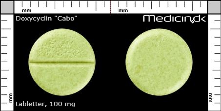 tabletter 100 mg 